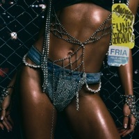 Thumbnail for the Anitta - Fría (Felix Jaehn Remix) link, provided by host site