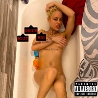 Thumbnail for the BigKlit - Fried link, provided by host site