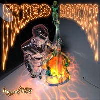 Thumbnail for the N'Hell - Fried Remixes link, provided by host site