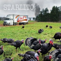 Thumbnail for the Starlito - Fried Turkey link, provided by host site