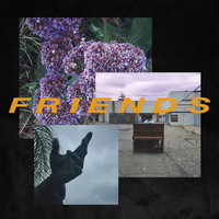 Thumbnail for the SANNI - FRIENDS link, provided by host site