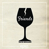 Thumbnail for the David Benjamin - Friends link, provided by host site