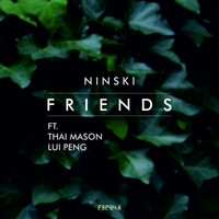 Thumbnail for the Ninski - Friends link, provided by host site