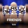 Thumbnail for the Filatov - Friends link, provided by host site