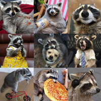 Thumbnail for the Tanuki - Friends link, provided by host site