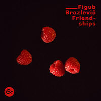 Thumbnail for the Figub Brazlevic - Friendships link, provided by host site