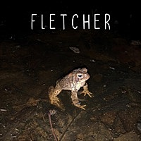 Thumbnail for the FLETCHER - Frog link, provided by host site