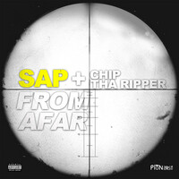 Thumbnail for the SAP - From Afar link, provided by host site