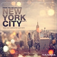 Thumbnail for the Zack Roth - From the Record Bag: New York City Part 1 (Continuous Mix) link, provided by host site