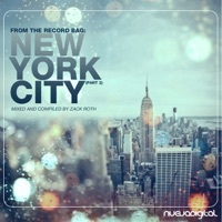 Thumbnail for the Zack Roth - From the Record Bag: New York City Part 2 (Zack Roth Continous Mix) link, provided by host site