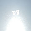 Thumbnail for the Froogle - Froogle link, provided by host site