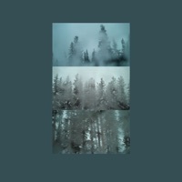 Thumbnail for the JULIA KENT - Frost and Furrow link, provided by host site