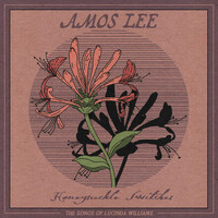 Thumbnail for the Amos Lee - Fruits Of My Labor link, provided by host site