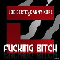 Thumbnail for the Joe Bertè - Fucking Bitch link, provided by host site