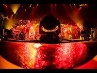 Thumbnail for the Phish - Fuego (4K HDR) New York, NY link, provided by host site