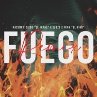 Thumbnail for the Nassim - Fuego [Remix] link, provided by host site