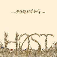 Thumbnail for the HOST - Fuglesang link, provided by host site