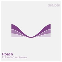 Thumbnail for the Roach - Full Moon link, provided by host site