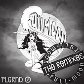 Thumbnail for the Playground Zer0 - Full Moon (The Remixes) link, provided by host site