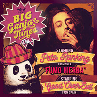Thumbnail for the Patoranking - Fumo Hierba link, provided by host site