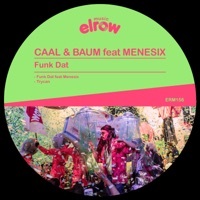 Thumbnail for the Caal - Funk Dat link, provided by host site