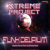 Thumbnail for the Xtreme Project - Funk Delirium Remixes link, provided by host site