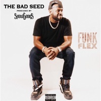 Thumbnail for the The Bad Seed - Funk Flex link, provided by host site