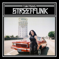 Thumbnail for the Funk Freaks - Funk Freaks Anthem link, provided by host site