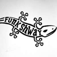 Thumbnail for the Richard Thomas - Funk Shway link, provided by host site