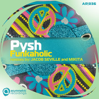 Thumbnail for the Pysh - Funkaholic link, provided by host site
