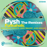 Thumbnail for the Pysh - Funkaholic Remixes link, provided by host site