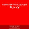 Thumbnail for the Aaron Mash - Funky link, provided by host site