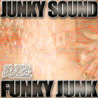 Thumbnail for the Junky Sound - Funky Junk link, provided by host site