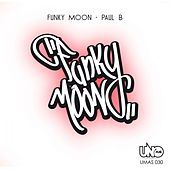Thumbnail for the Paul B - Funky Moon link, provided by host site