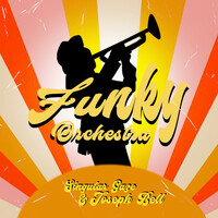 Thumbnail for the Singular Gaze - Funky Orchestra link, provided by host site