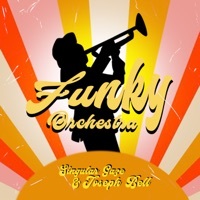 Thumbnail for the Singular Gaze - Funky Orchestra link, provided by host site