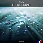 Thumbnail for the Ciava - Funky Sound link, provided by host site