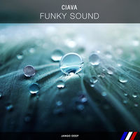 Thumbnail for the Ciava - Funky Sound link, provided by host site