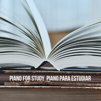 Thumbnail for the Reading and Study Music - Fur Elise link, provided by host site