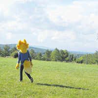 Thumbnail for the Ima - fursuit euphoria link, provided by host site