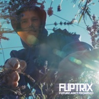 Thumbnail for the Fliptrix - Future Ain't Promised link, provided by host site
