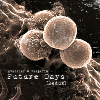 Thumbnail for the Eddie Vedder - Future Days (redux) link, provided by host site