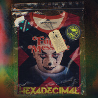 Thumbnail for the Hexadecimal - Future Message link, provided by host site