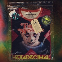 Thumbnail for the Hexadecimal - Future Message link, provided by host site