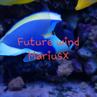 Thumbnail for the Mariusx - Future Wind link, provided by host site
