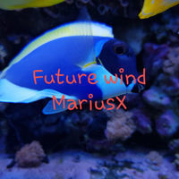 Thumbnail for the Mariusx - Future Wind link, provided by host site