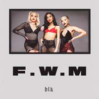 Thumbnail for the BLK - FWM link, provided by host site