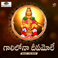 Thumbnail for the Peddapuli Eshwar - Gaali Lona Deepam link, provided by host site