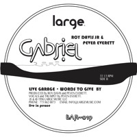 Thumbnail for the Roy Davis Jr. - Gabriel link, provided by host site