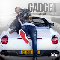 Thumbnail for the Mula B - Gadget link, provided by host site